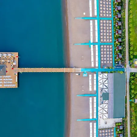 Complex Delphin Be Grand